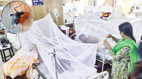 ডেঙ্গুতে ২ জনের মৃত্যু, হাসপাতালে ভর্তি ৩২১