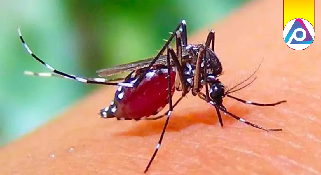 ডেঙ্গুতে একদিনে সর্বোচ্চ মৃত্যু